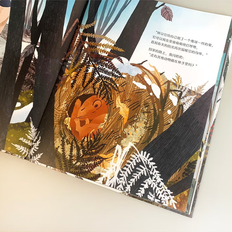 睡着的冬天动物冬眠的故事 6-11岁科普百科动物冬眠科普绘本 凯特