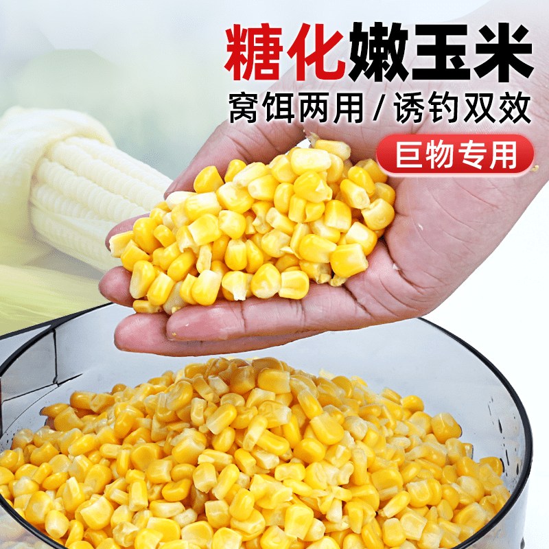 新款糖化嫩玉米窝料鲫鲤青草综合钓饵大物专攻老玉米打窝钓鱼饵料