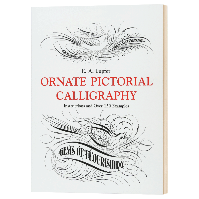 花鸟装饰 练字花体字字帖圆体字 英文原版 lupfer ornate pictorial