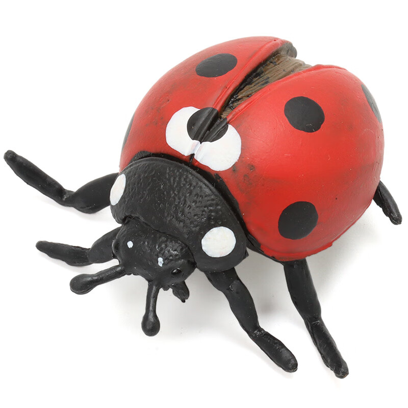 玛奇乐(mechile)仿真昆虫动物模型玩具宝宝认知启蒙儿童生日礼物 七星