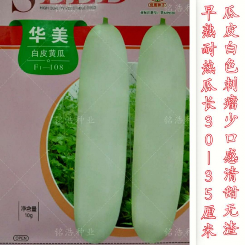 菜友菜友华美白皮黄瓜种子肉厚甜脆无渣水果型耐热早熟适应性广春秋蔬