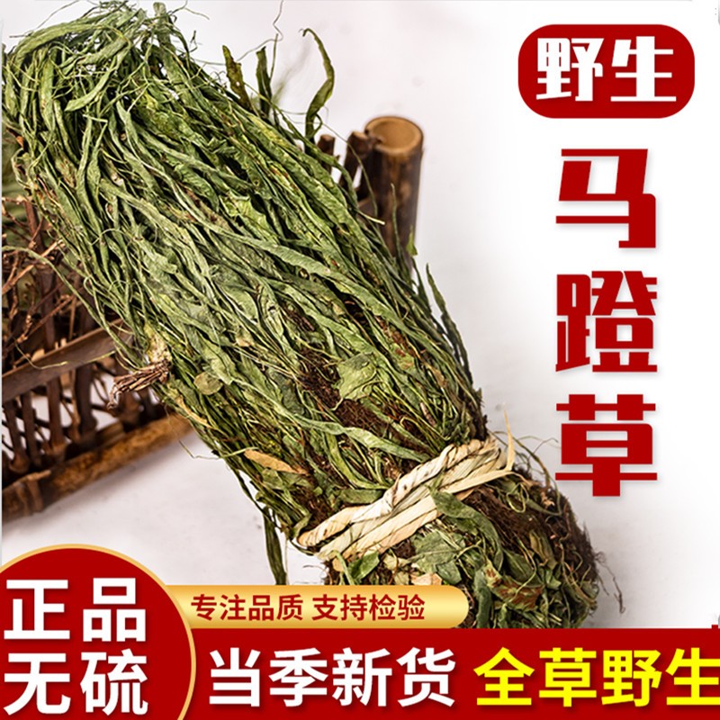 古养斋 马蹬草 过桥草 小石韦 还阳草 中药材正宗 马镫草 马登草 250