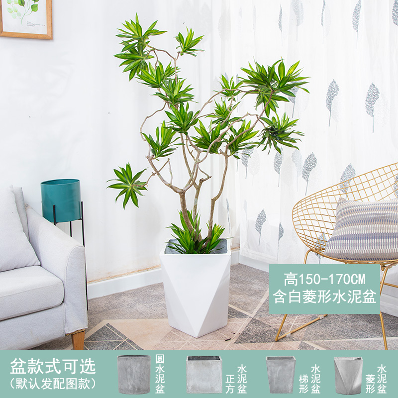 艺植艺品 品牌报价图片优惠券 艺植艺品品牌优惠商品大全人气降序 虎窝购