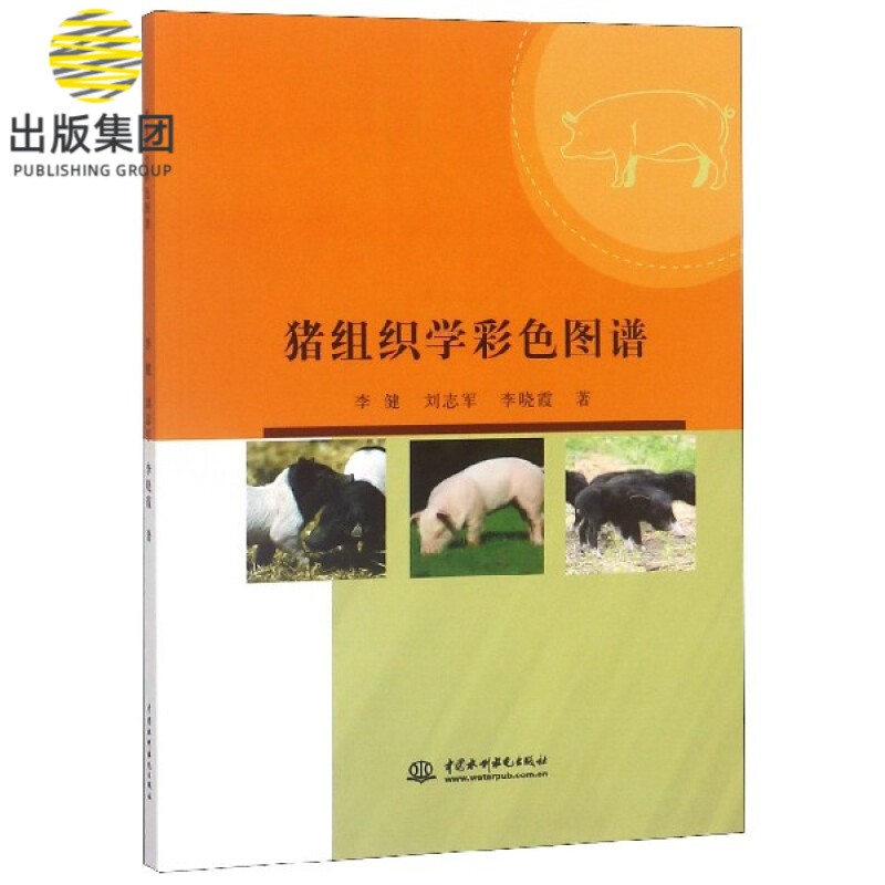 猪组织学彩色图谱