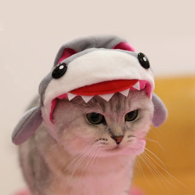 萌萌鸭 卖萌猫咪头套猫头圈猫头罩可爱搞笑搞怪宠物帽子服装配饰 鲨鱼 S(3.5-5斤之内）高性价比高么？