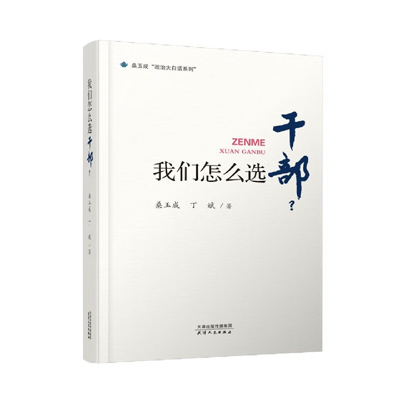 我们怎么选干部/桑玉成政治大白话系列