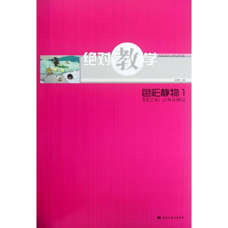 色彩静物1 王艳宁 作 书籍
