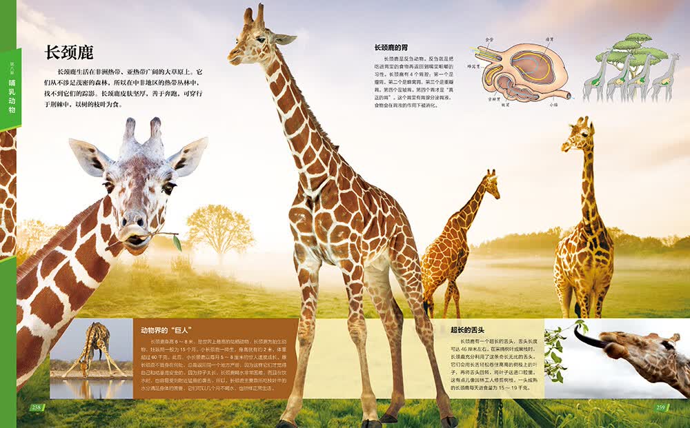 图 6
