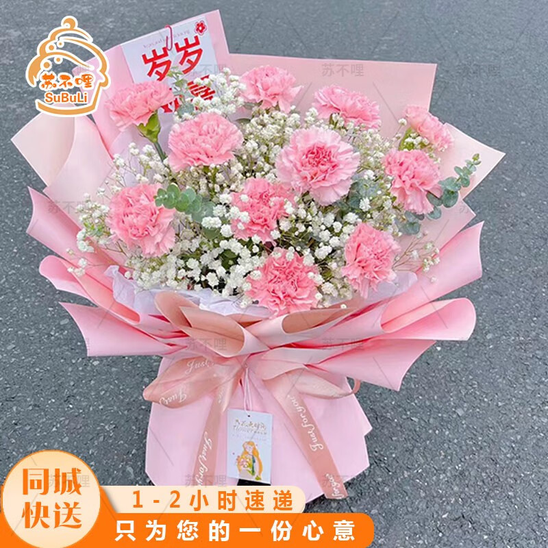 a11朵康乃馨满天星花束