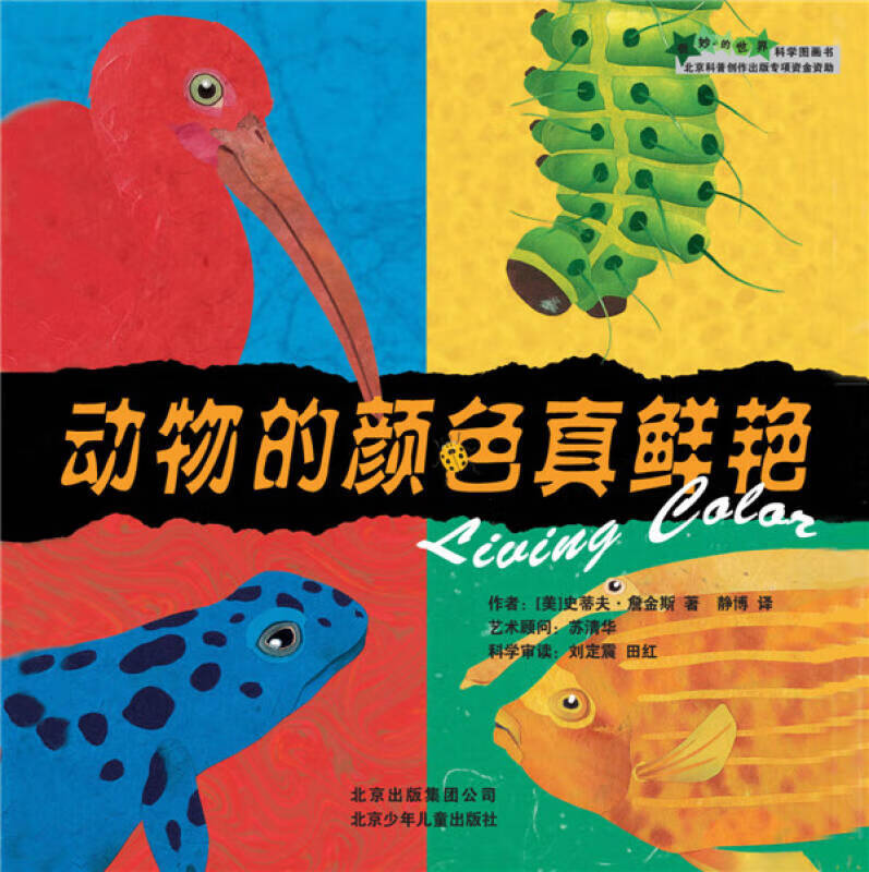 动物的颜色真鲜艳