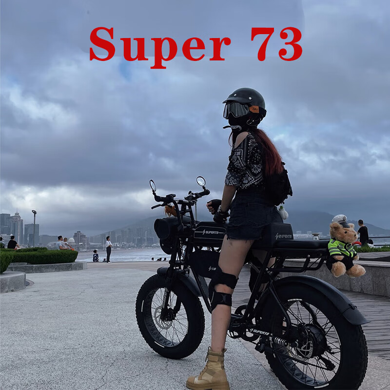 巴赫super73 电动车越野电动自行车山地自行车电瓶车成人复古助力车 Y1标准版-25安纯电约60公里