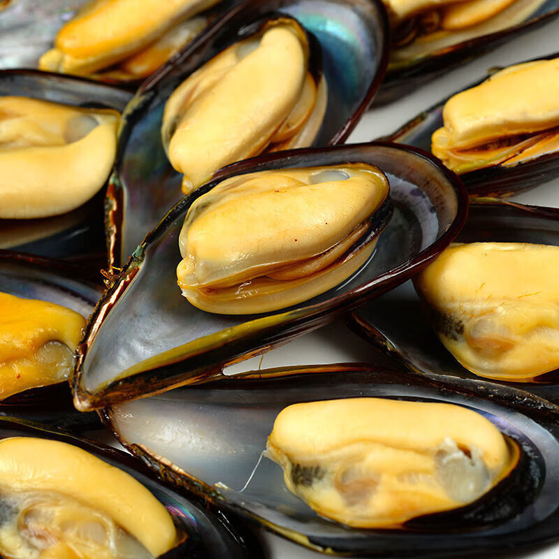 皓谦海虹新鲜青口贝贻贝淡菜现捞现发海鲜水产贝类4斤装