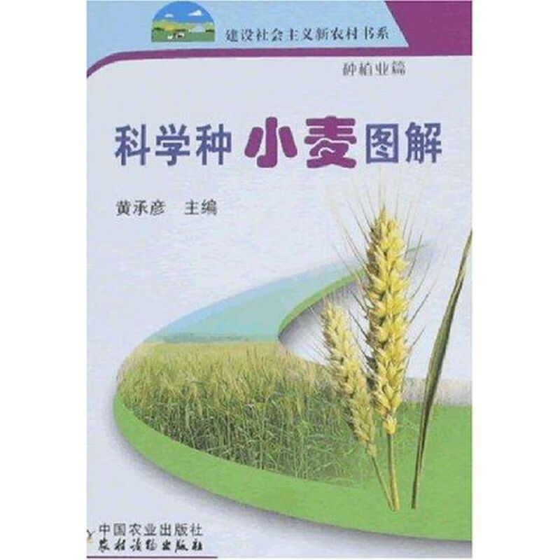 科学种小麦图解/新农村 黄承彦 作 书籍