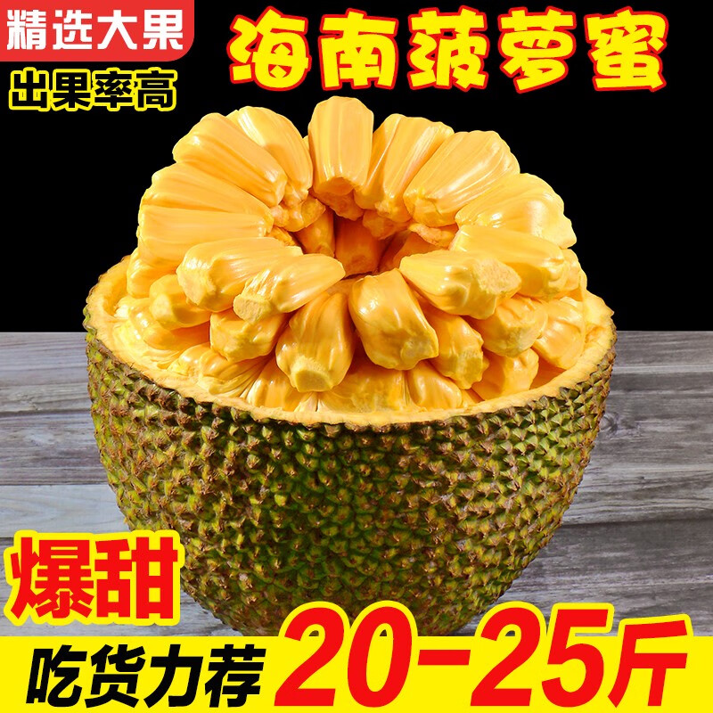 20-25斤海南三亚黄肉菠萝蜜 新鲜水果热带水果1个25-30斤15-20斤大树木波萝蜜1整 20-25斤