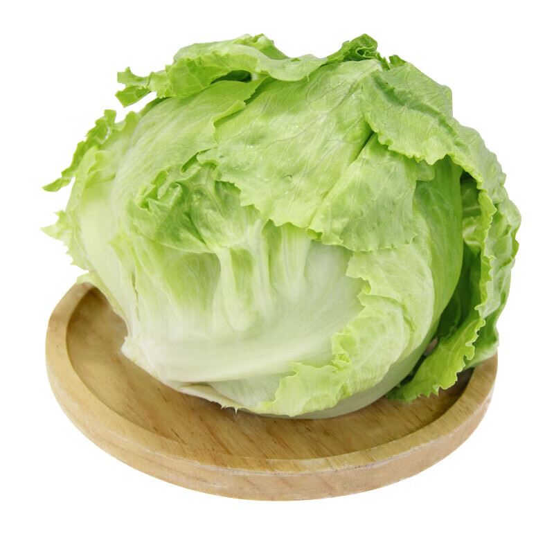 皓谦 生菜 球生菜新鲜圆生菜西餐沙拉蔬菜 2500g