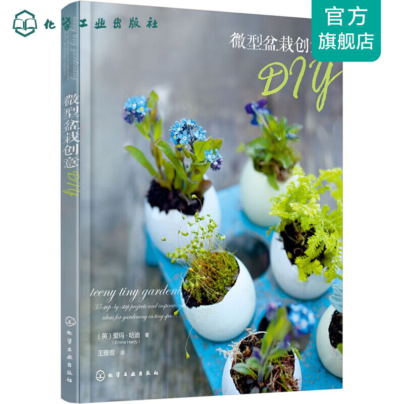 微型盆栽创意DIY