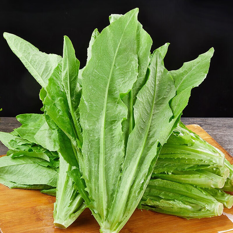 【jd物流】油麦菜新鲜凤尾菜当季青菜农家自种时令蔬菜过节送礼 1500g