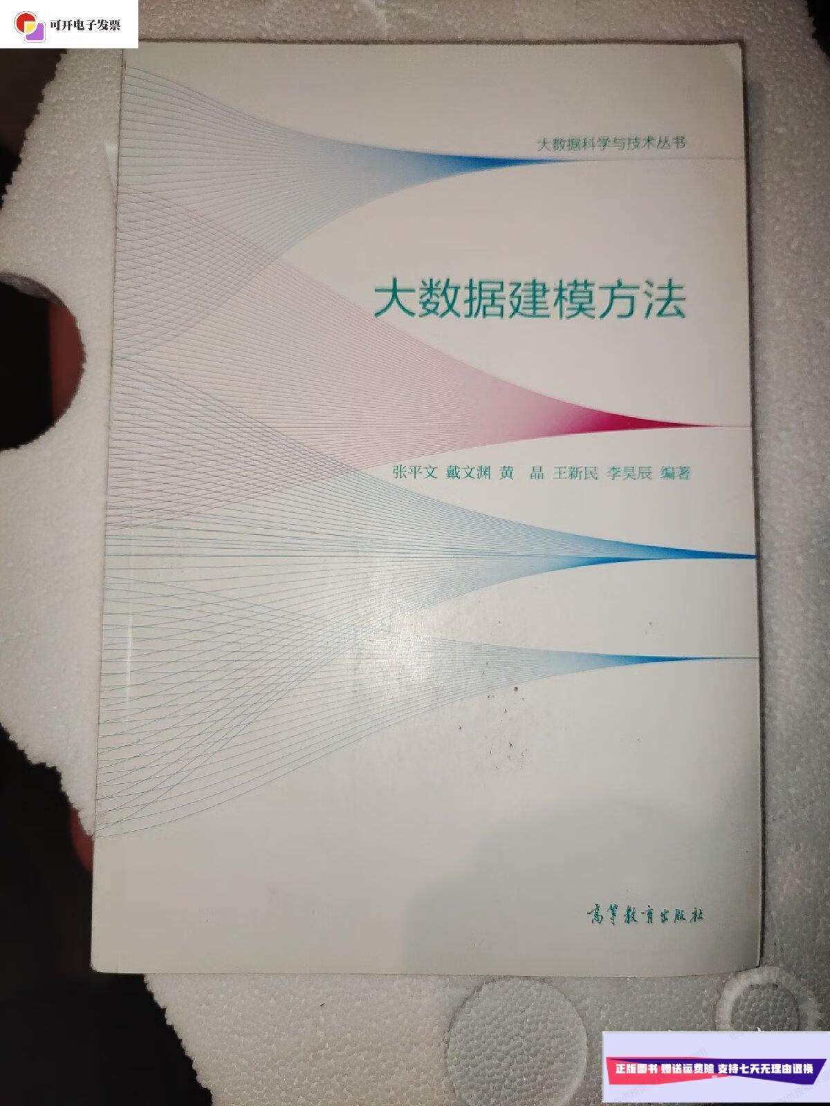 【二手9成新】大数据建模方法 /张平文 高等教育出版社