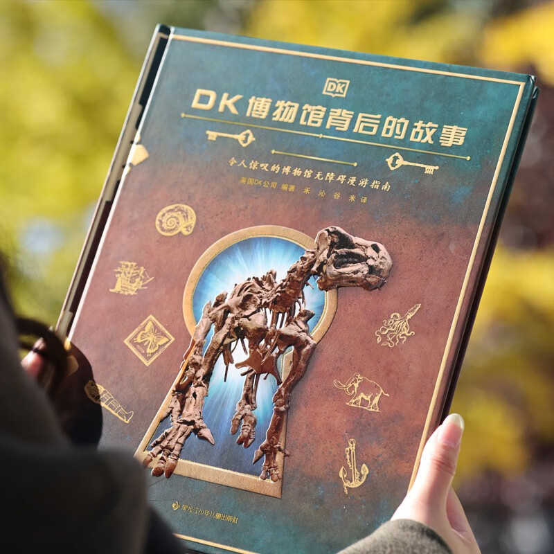 DK博物馆背后的故事(精)详情图