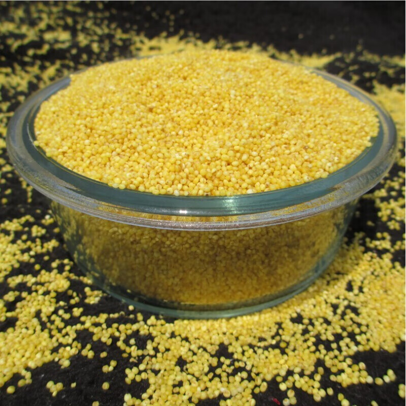 虎钢馋东北小米散称农家黄小米小黄米杂粮小米