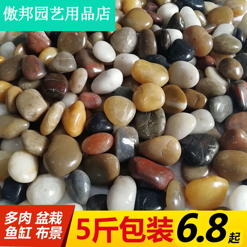 泽楷维 南京鹅卵石雨花石原石天然小石子鱼缸造景花盆装饰五彩 [5斤]