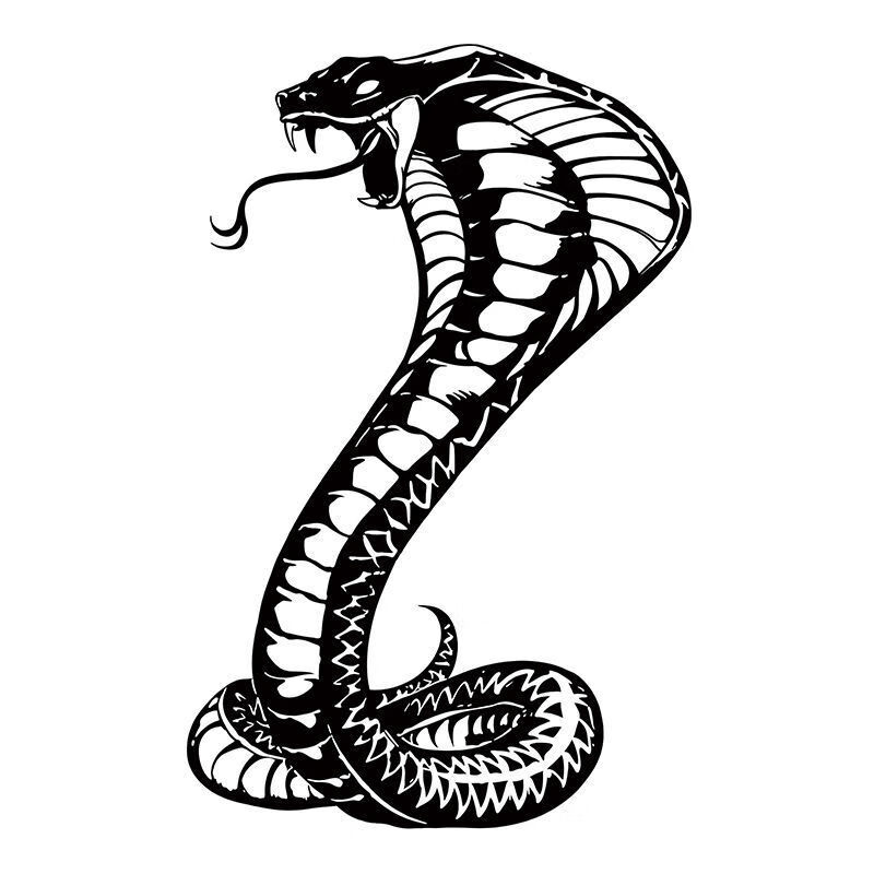 米季琳(mijilin)草本纹身贴眼镜蛇纹身贴霸气手臂男防水系胸前不反光