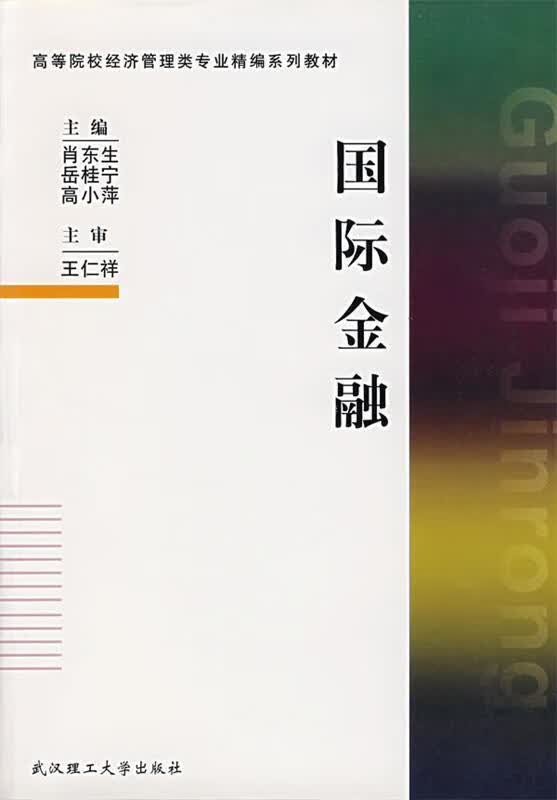 国际金融 肖东生 等主编【正版】