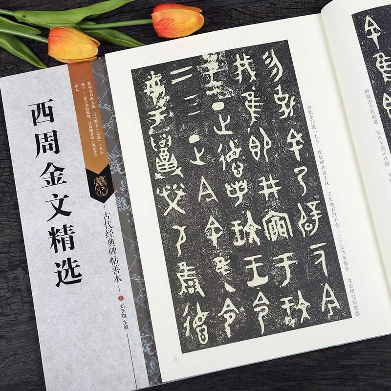 西周金文精选 散氏盘毛公鼎大盂鼎虢季子白盘 附繁体注释节选折页 大篆毛笔书法字帖 江苏凤凰美术出版社属于什么档次？