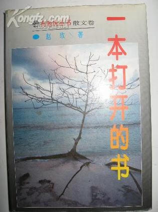 一本打开的书【正版好书,下单速发】