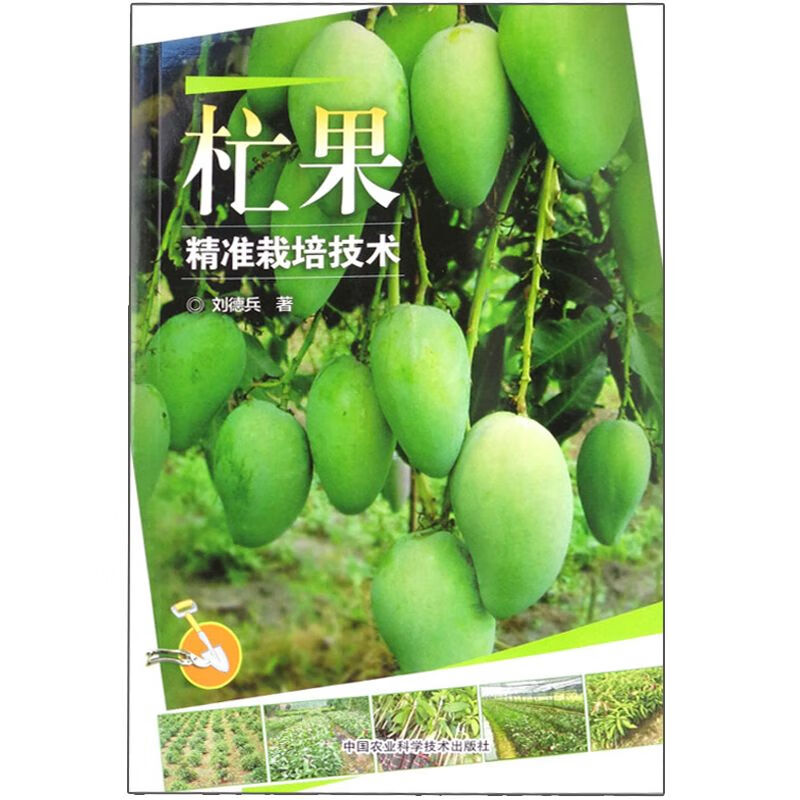 杧果栽培技术 刘德兵 种植芒果树病虫害防治技术大全书籍 杧 epub格式下载