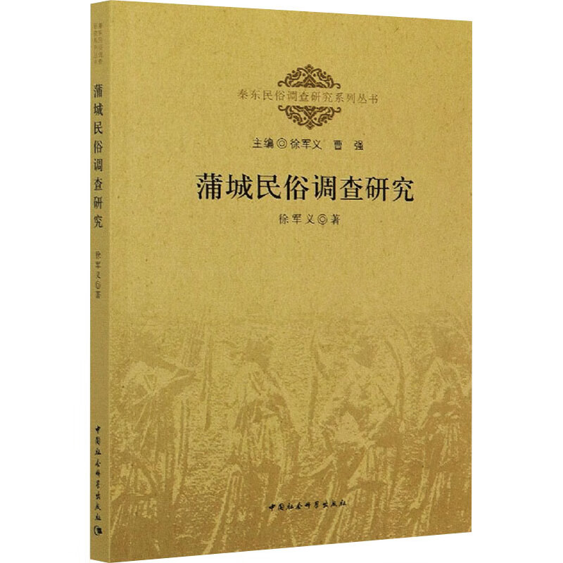 蒲城民俗调查研究 图书