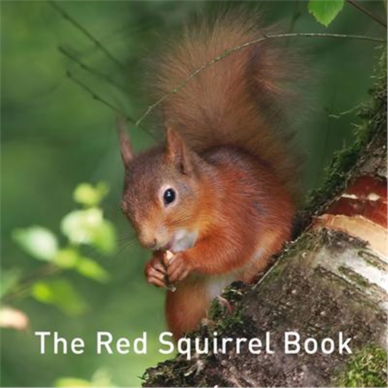 预订the red squirrel book