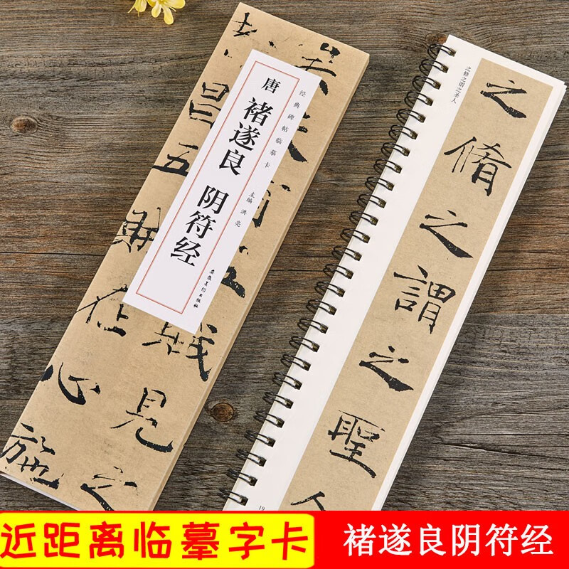 褚遂良阴符经 唐 经典碑帖近距离临摹卡 褚体楷书书法毛笔临摹练字帖 原碑帖附简体旁注 安徽美术出版社