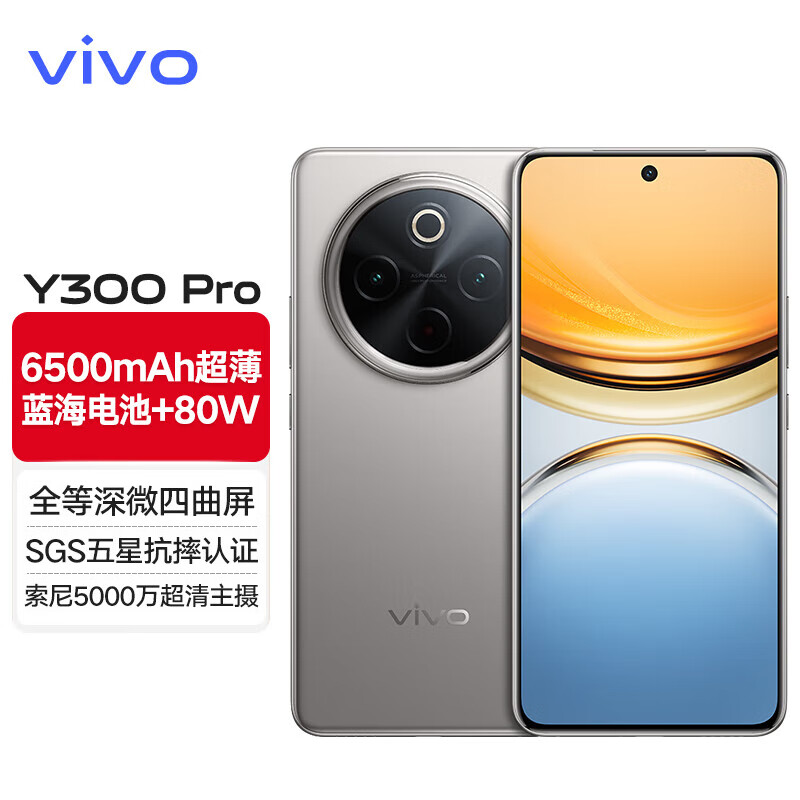 vivo Y300 Pro vivo新机2024上市 手机vivo y300pro 5G vivo手机 钛色 12GB+256GB 【官方标配】
