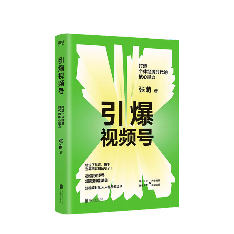 引爆视频号 打造个体经济时代的核心能力 张萌 著