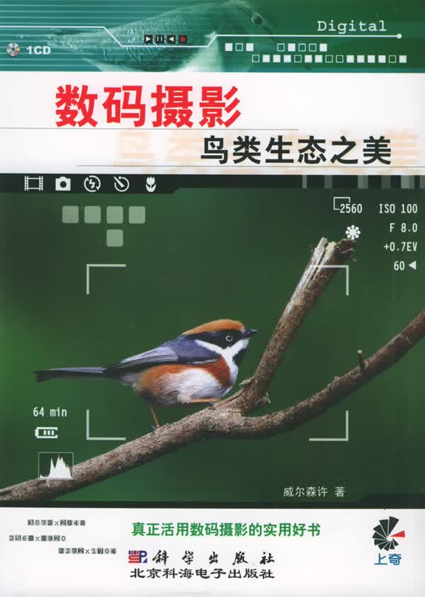 数码摄影:鸟类生态之美