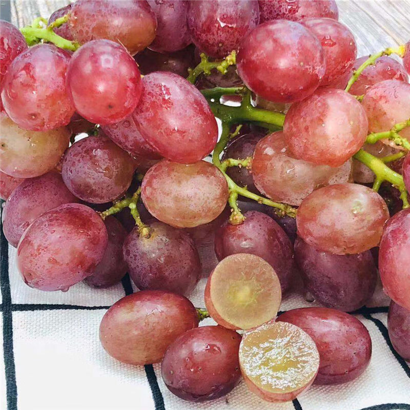 新疆玻璃脆无籽葡萄提子整箱3斤新鲜玻璃红提吐鲁番当季特产水果 3斤