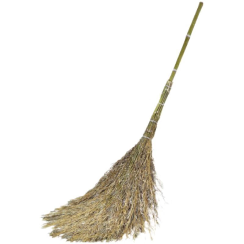 笤帚长-竹