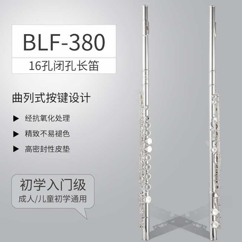 法国布兰琪(Blanche)长笛乐器 16 17孔C调镀银开闭孔 初学者专业演奏考级通用 16孔闭孔镀银