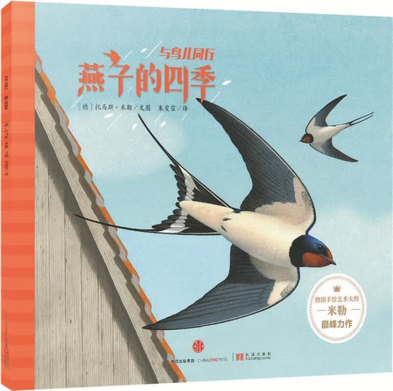 燕子的四季-与鸟儿同行 [德]托马斯·米勒 文图【正版书】
