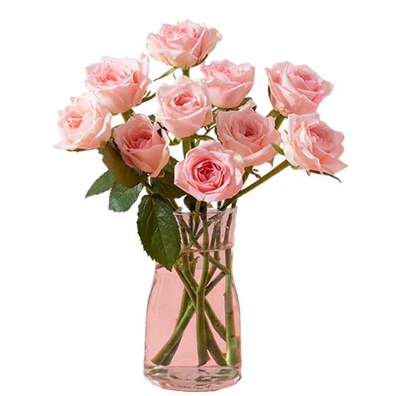 鲜花 雪山玫瑰10枝+水仙百合10枝组合款定制鲜花