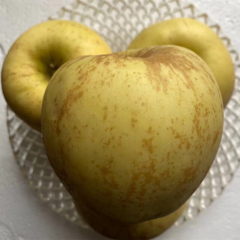 甜缤纷 山东烟台苹果黄元帅黄香蕉奶油苹果粉苹果 黄元帅80-85mm4.5-5斤大果带果绣