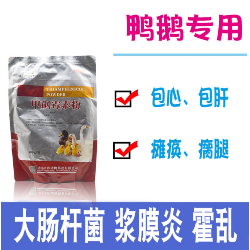 鹅浆膜炎药大肠杆菌药霍乱禽出败瘸腿瘫痪包心包肝 甲砜霉素500g/1袋