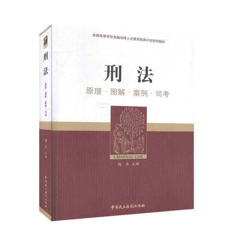 刑法-原理 图解 案例 思考