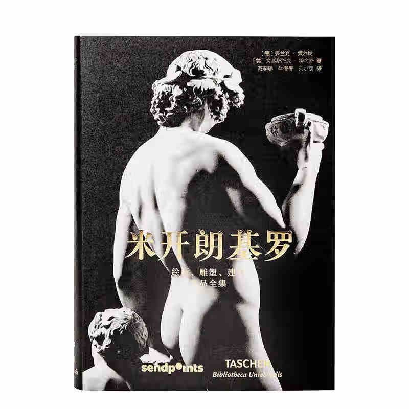 米开朗基罗 绘画雕塑建筑作品全集 世界图书馆系列 西方艺术大师图册图集 简体中文版