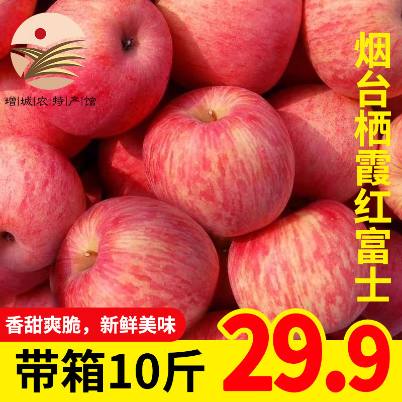 【增城农特产馆】烟台栖霞红富士苹果水果新鲜 带箱10斤 大果80-85mm