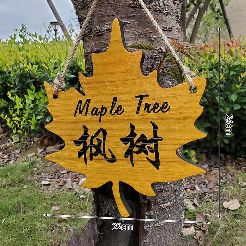 花园树名植物花草挂牌树木认养牌园林绿化创意标识简介牌个性定制 a款