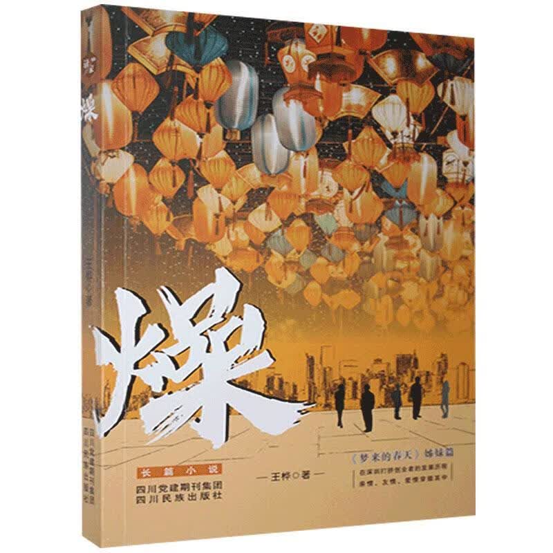 包邮：燥 小说  图书