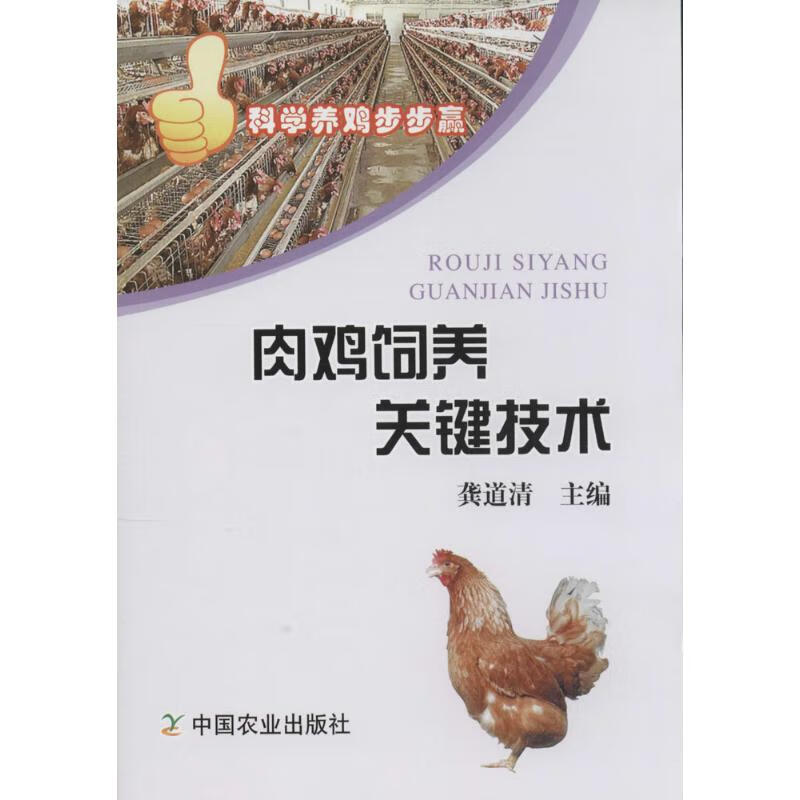 肉鸡饲养关键技术
