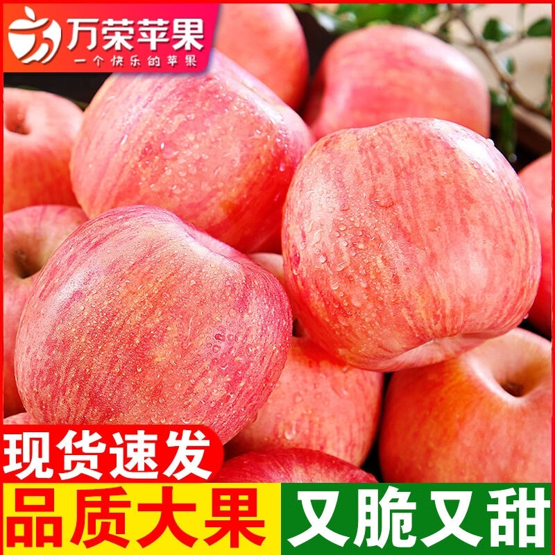 鹏翔宇【顺丰包邮】正宗山西万荣红富士苹果薄皮脆甜当季新鲜水果礼盒装 正宗山西万荣红富士苹果【顺丰到家】 净重8-8.5斤商超大果【13-15枚】